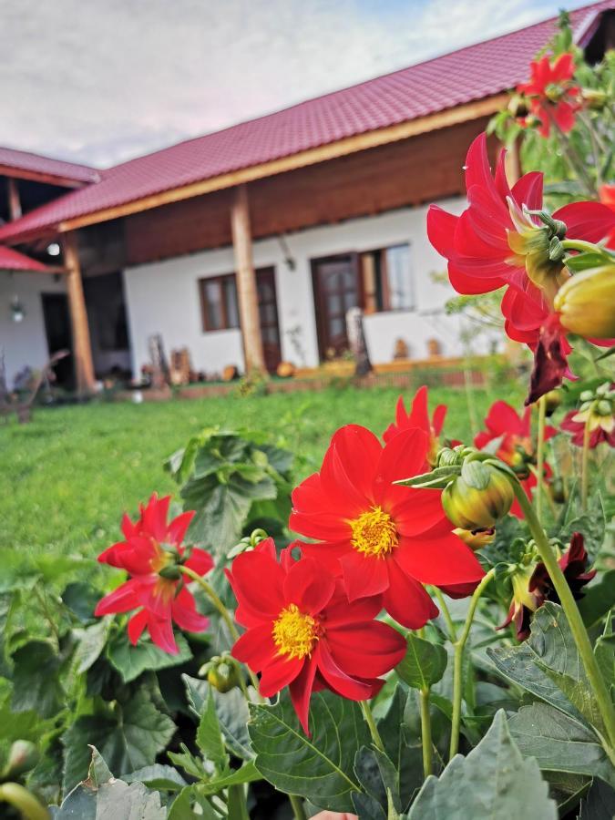 Jugul Taranului Agropensiune Polovragi, Gorj Exterior foto