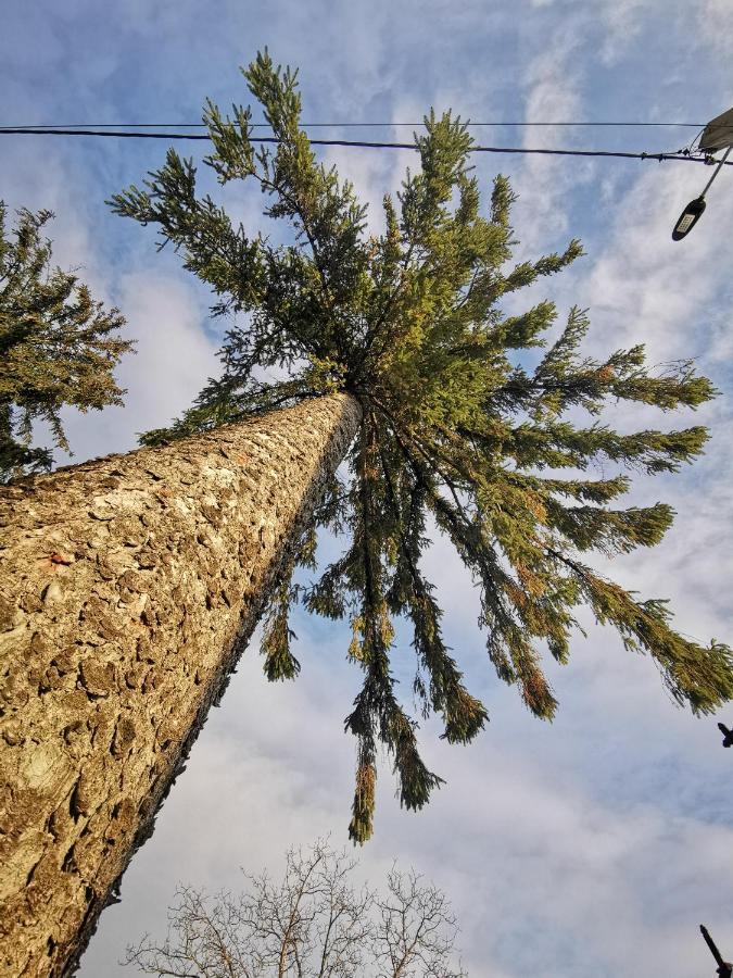 Jugul Taranului Agropensiune Polovragi, Gorj Exterior foto